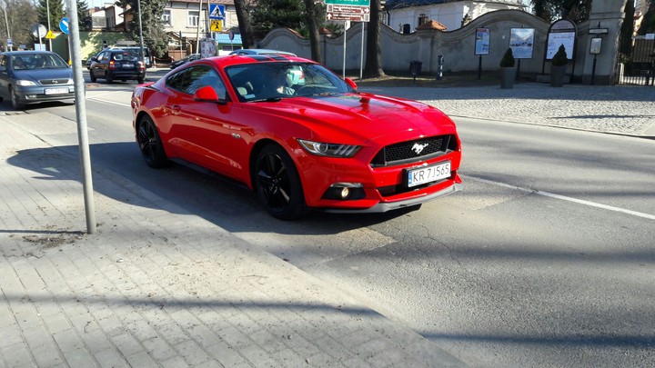 mustang