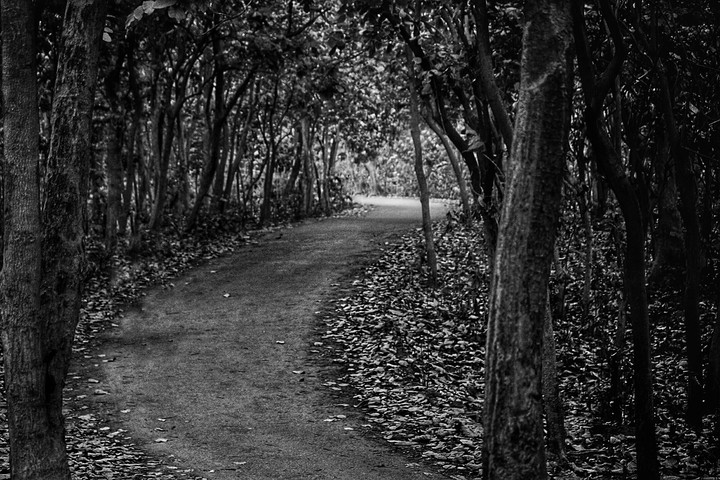 Road to heaven