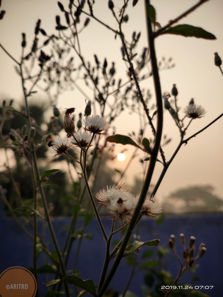 sunshine , winter morning