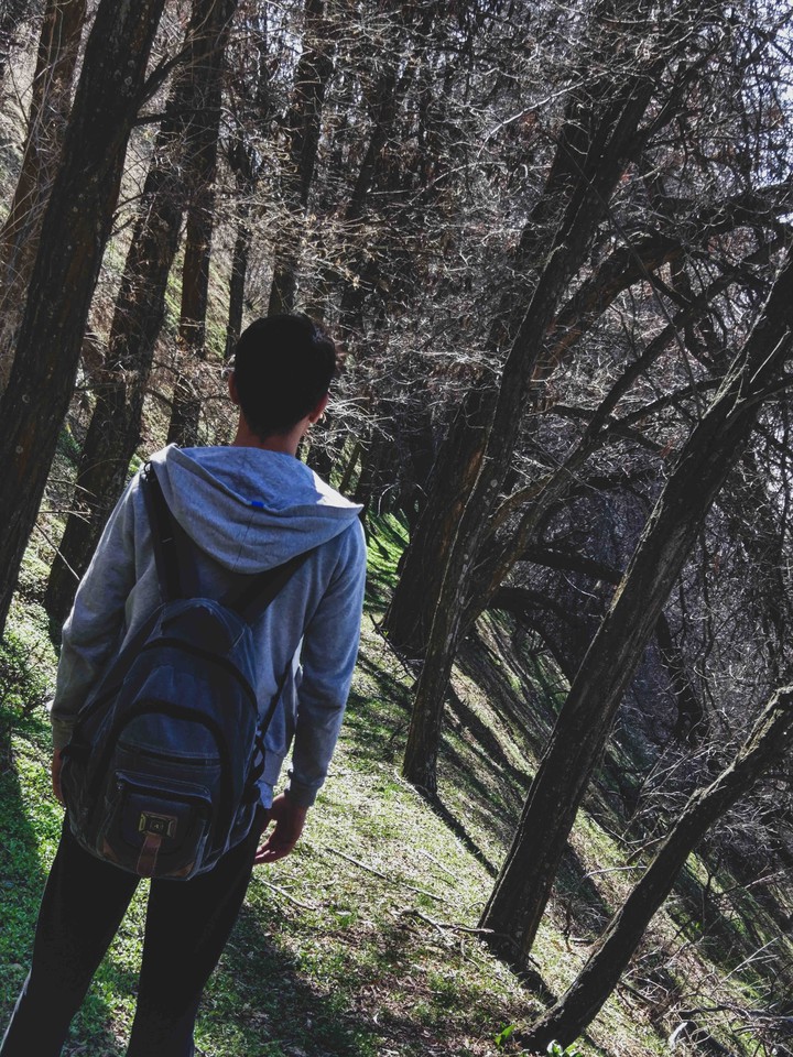 walking