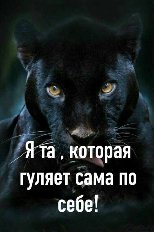 мысли