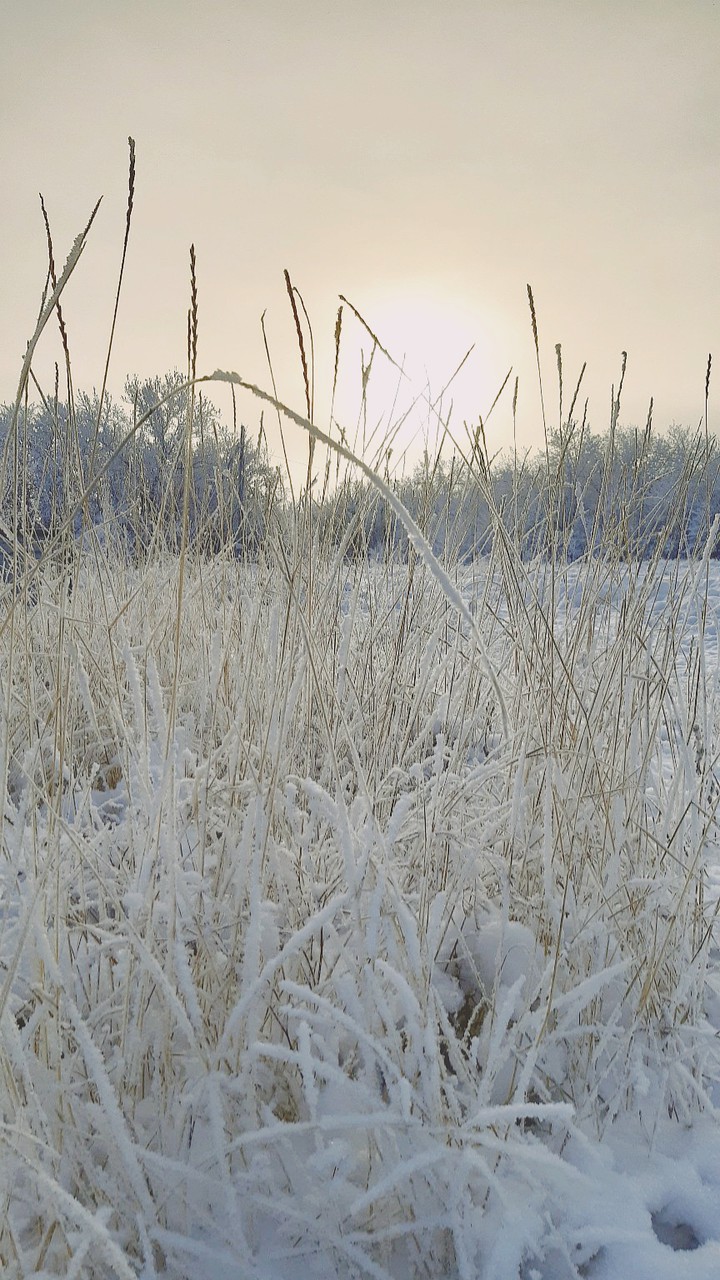 winter