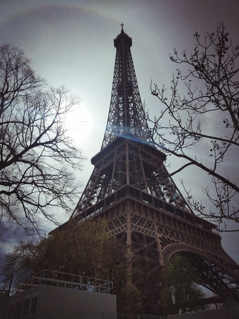 Heart of Paris- The Eiffel