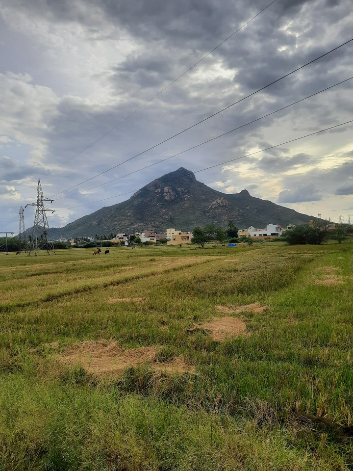 tiruvannamalai