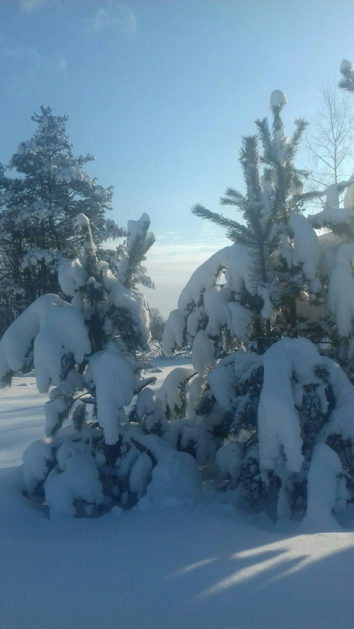 Winter 2019