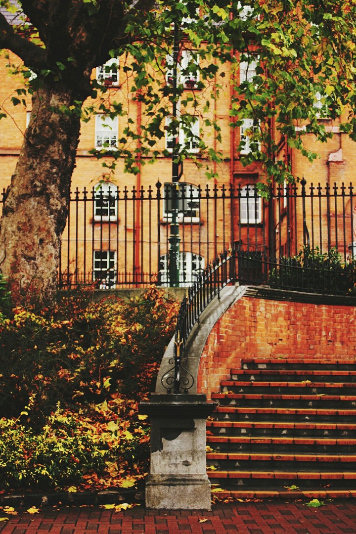 Autumn on the street))