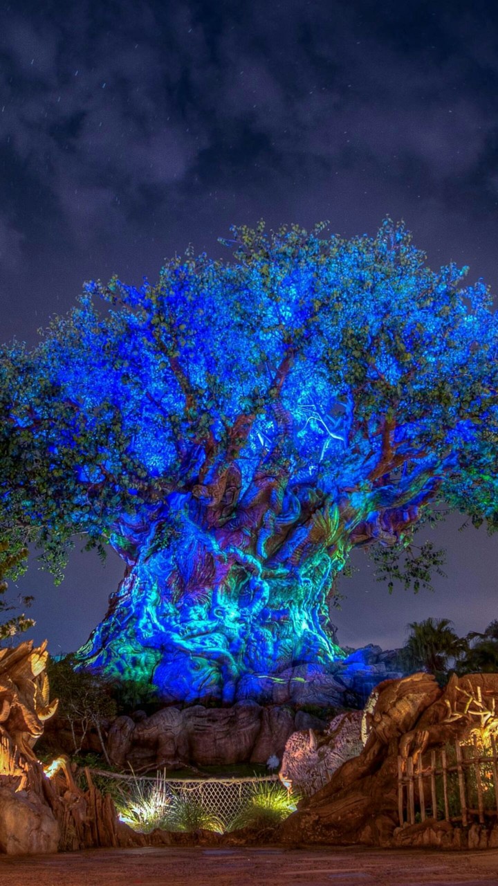 Tree of Life