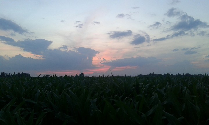 campagna