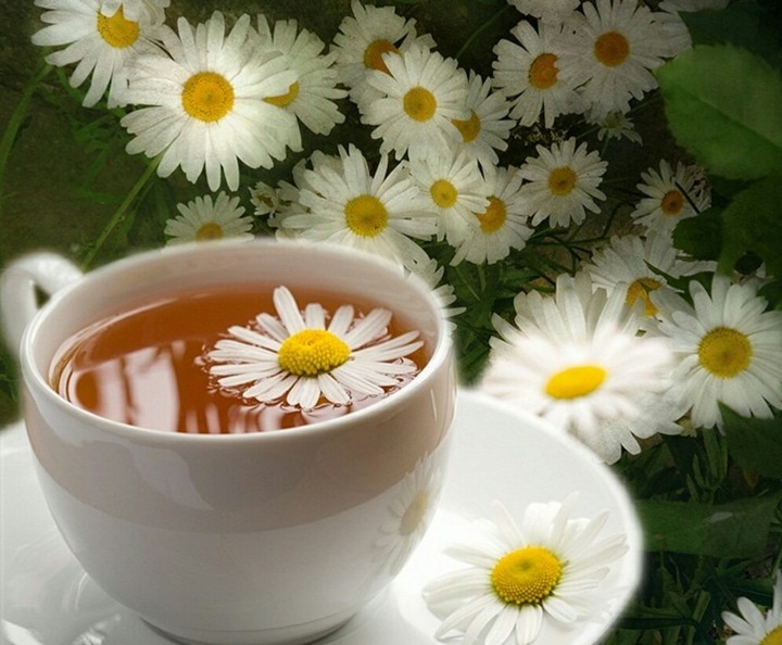 Tea and flowers
