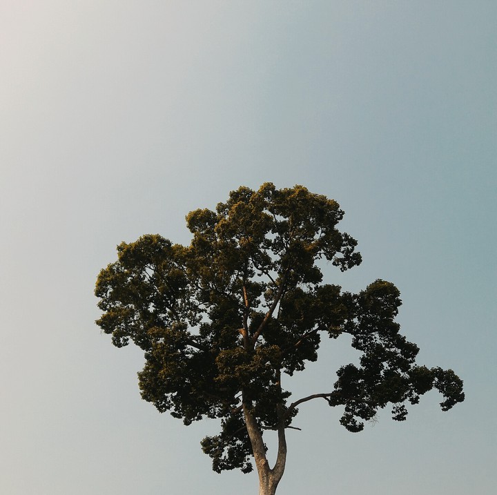 life for the world.