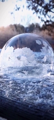 bubbles