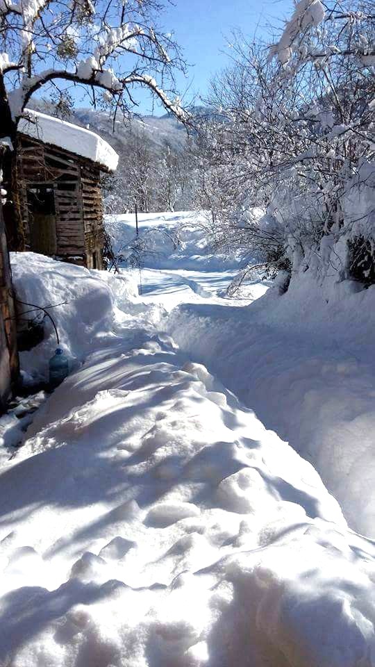 ❄
