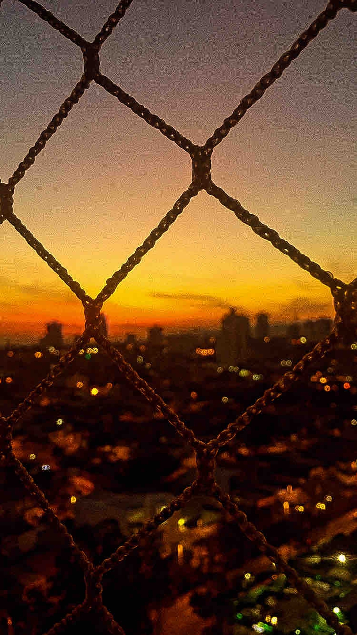 edição