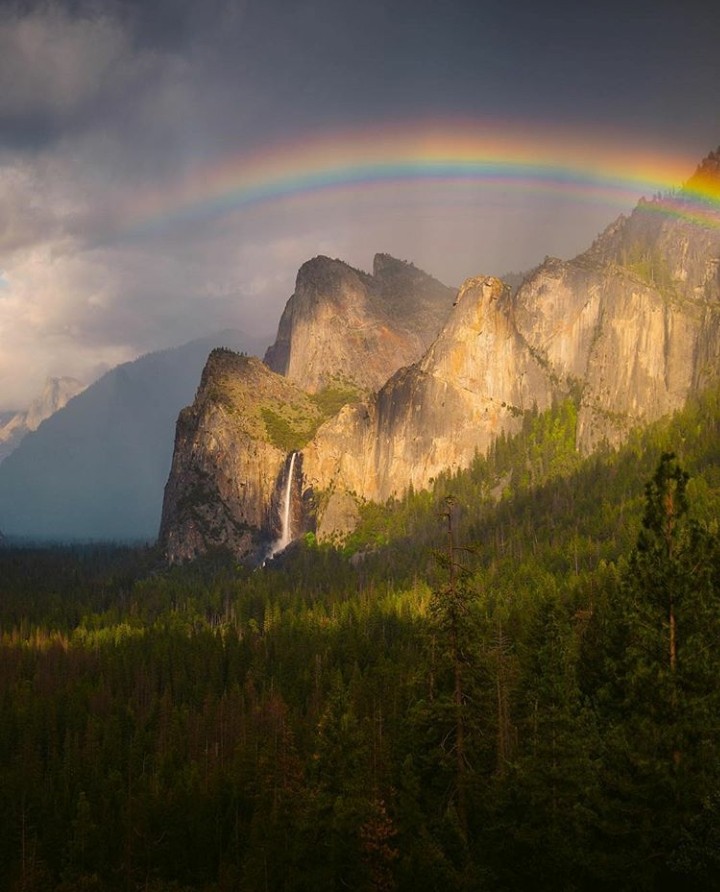 nature