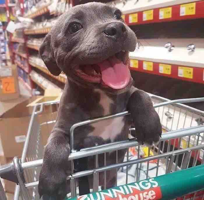 happyness