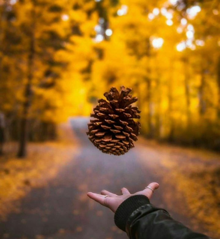 .