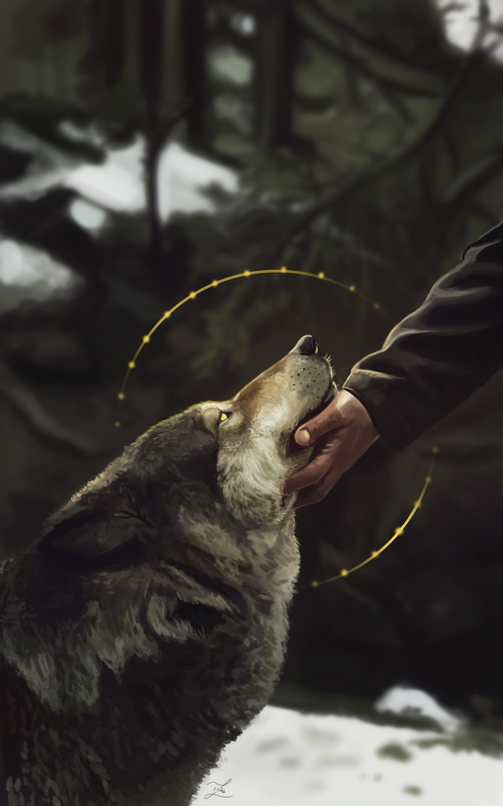 Wolf