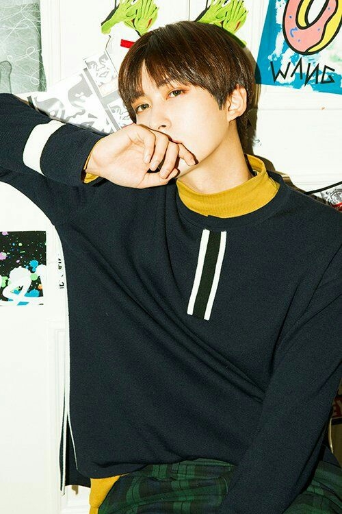Block B Jaehyo