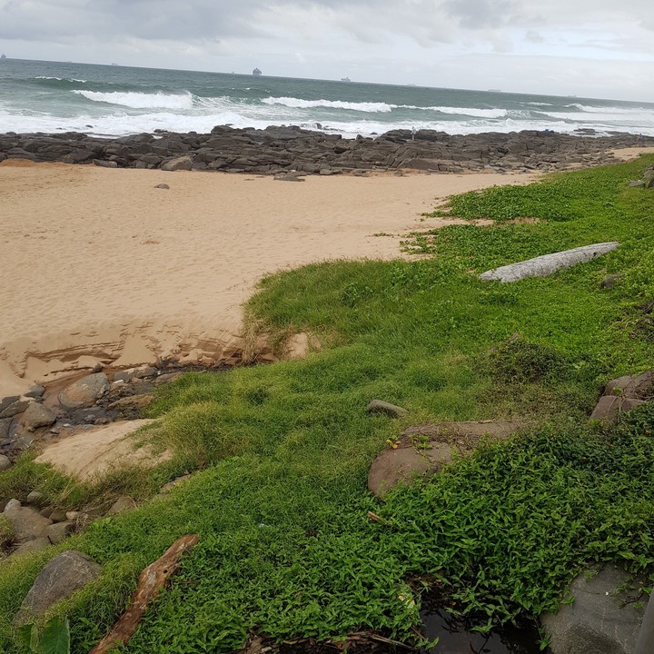 wild beach