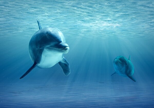 Underwater