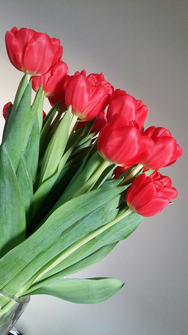 Flowers for women!