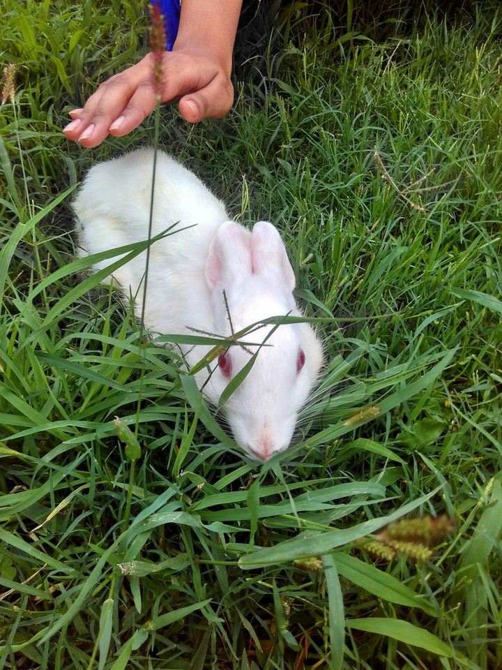 Rabbit.. ♡♡