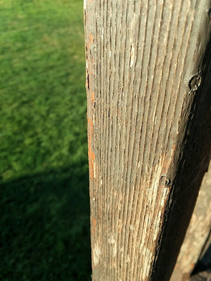 Rail