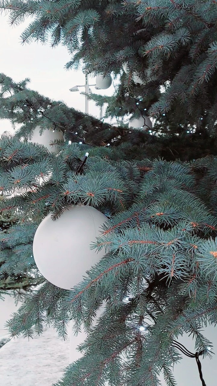 Christmas tree