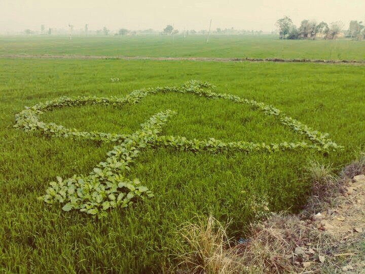 love heart in nature