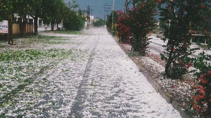 Snow bed