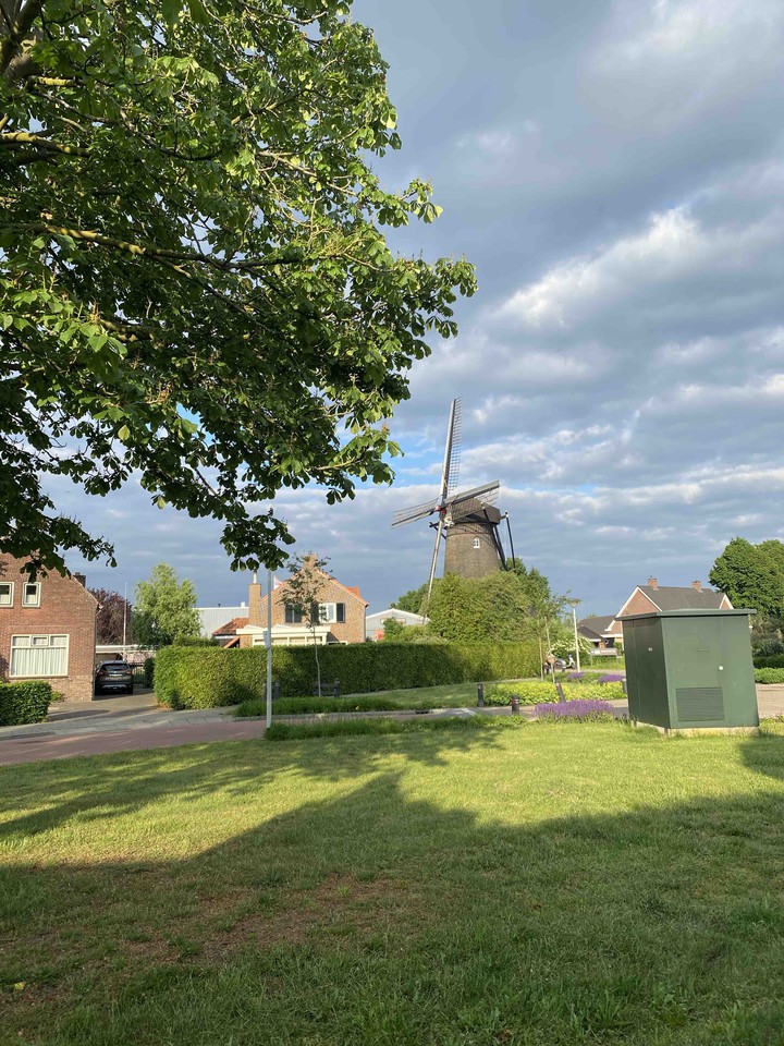 molen