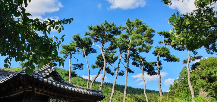 한옥