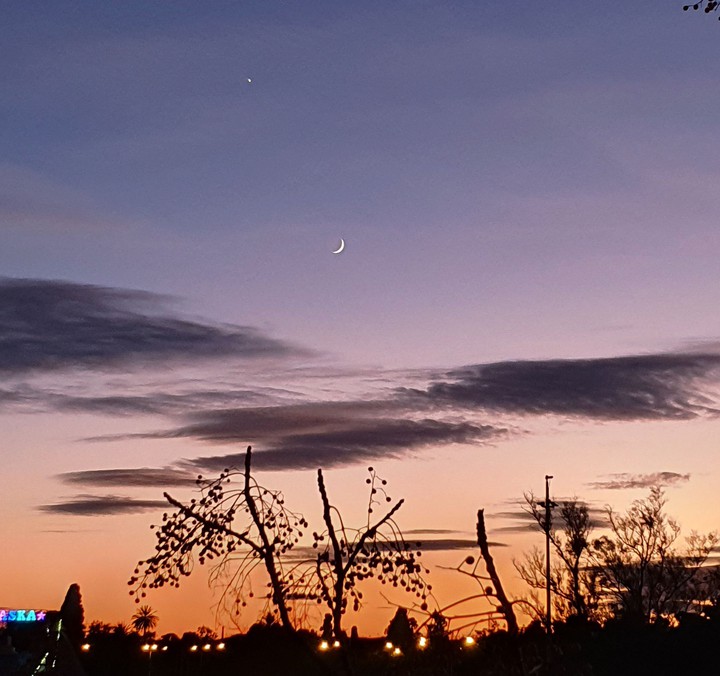 dear moon