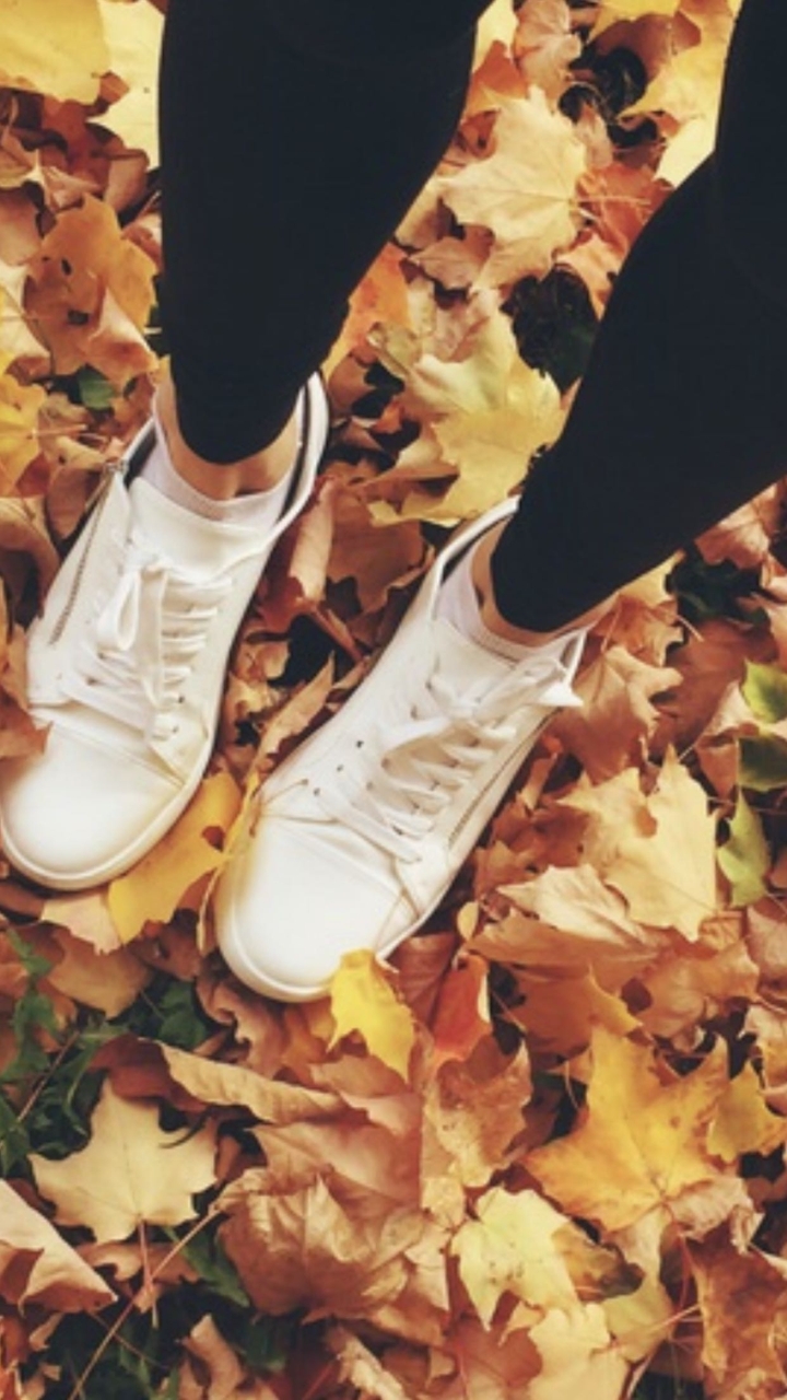 <autumn>
