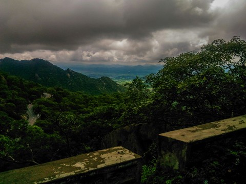 Nature