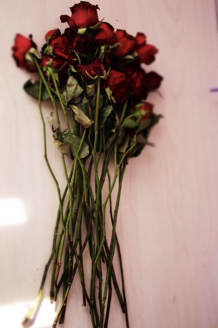 the RED!!