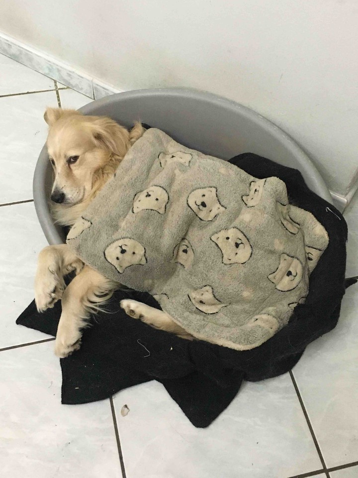 ZzZZzzzz