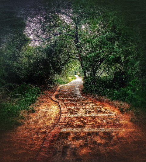 The road not taken