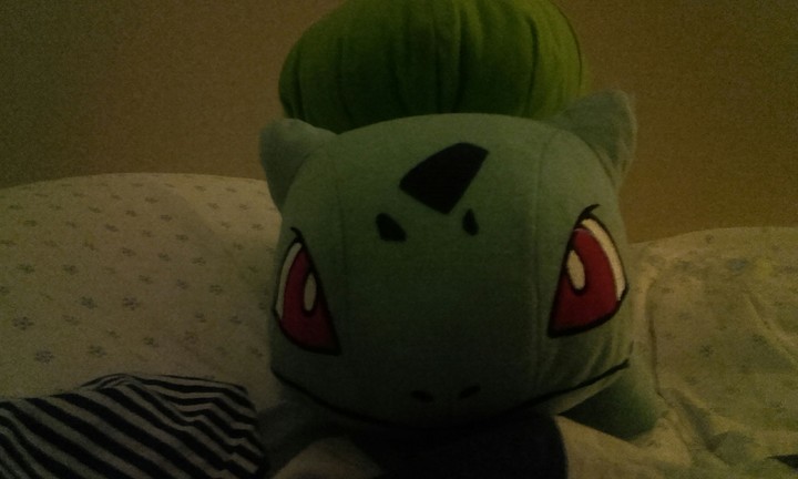 bulbi