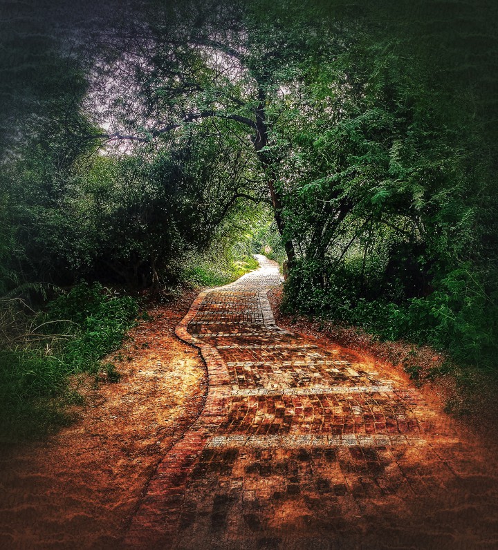 The road not taken