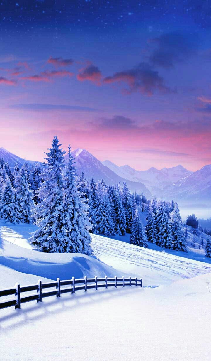 Winter