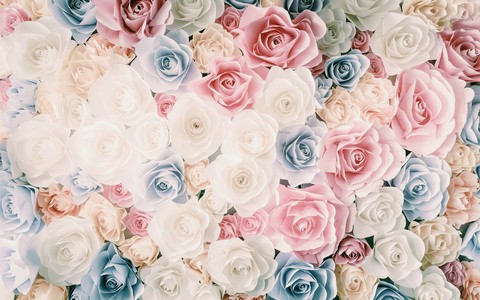 pink, floristry háttérképek
