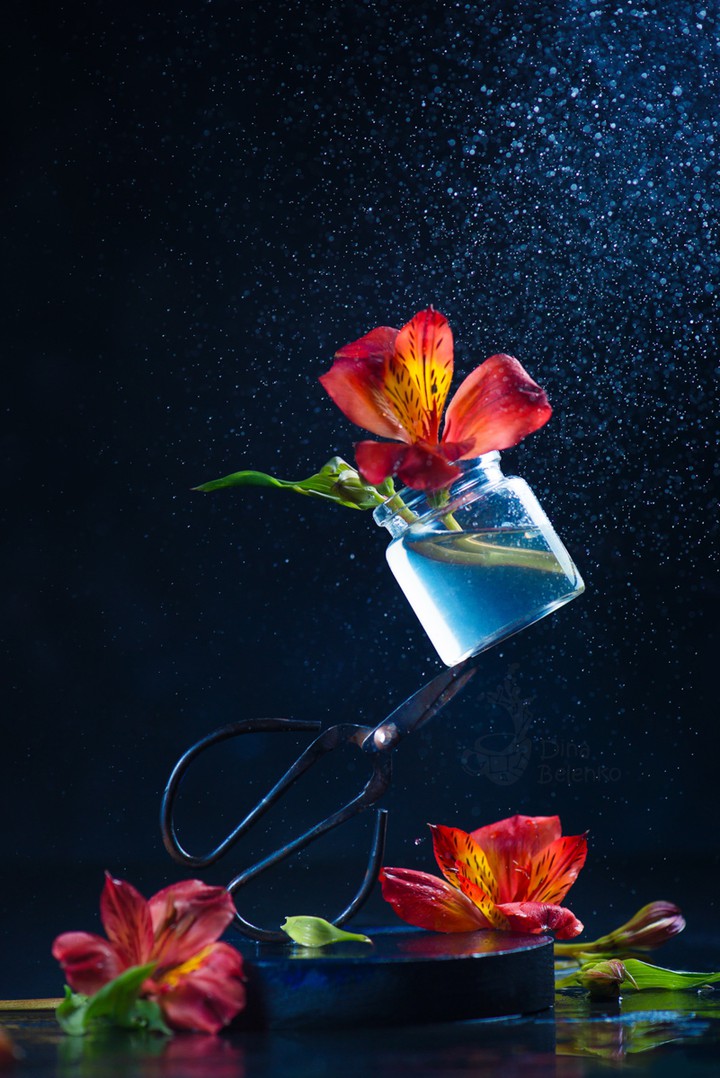 Balance