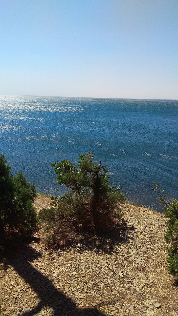 sea