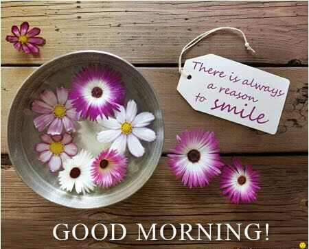 morning quote