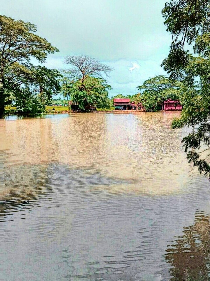 our village