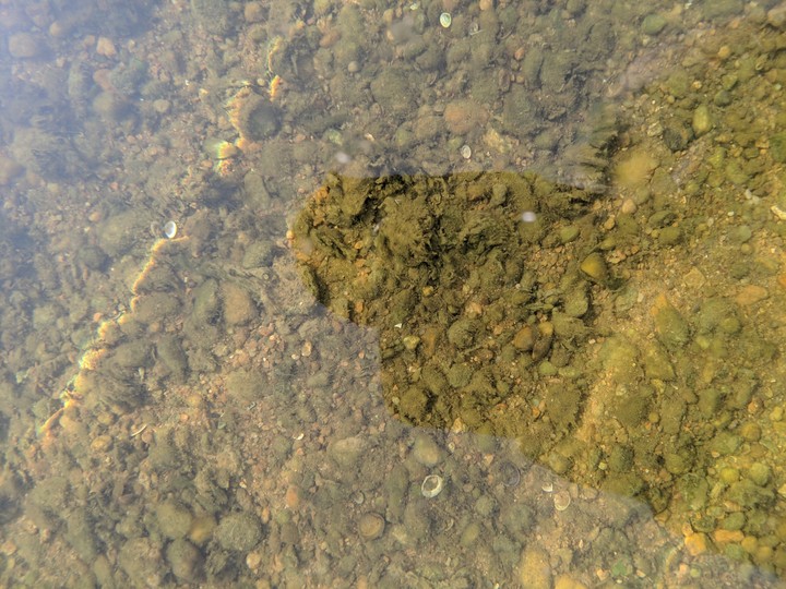 clear water