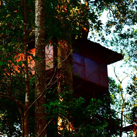 tree house..