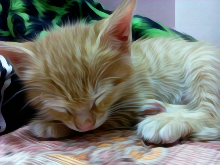 Sleepy....