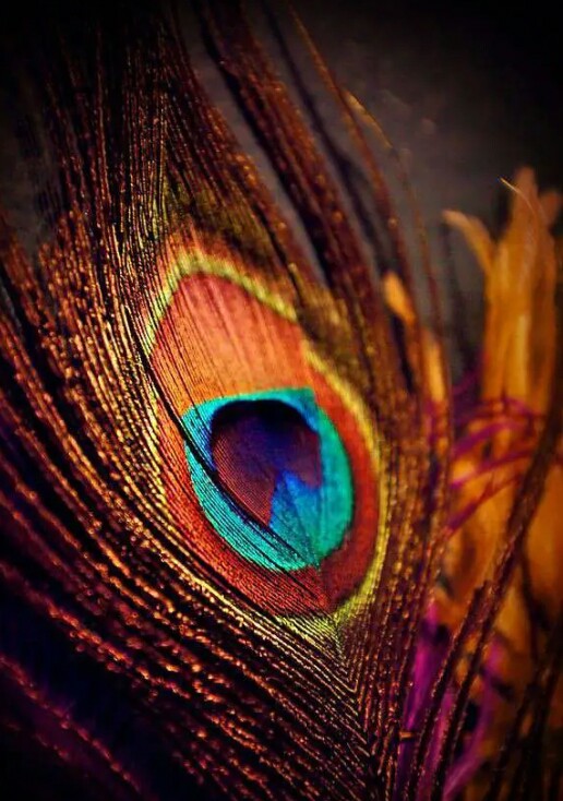 Krishna
